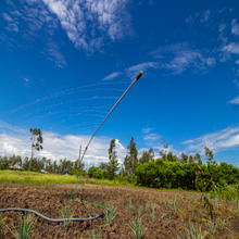 Load image into Gallery viewer, Sprayer