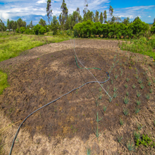 Load image into Gallery viewer, Sprayer