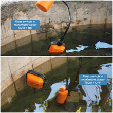 Load image into Gallery viewer, Float Switch