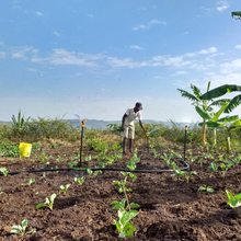 Load image into Gallery viewer, SF2 Sprinkler Packs