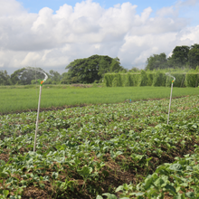 Load image into Gallery viewer, SE1 Sprinkler Pack